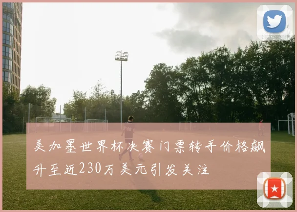 美加墨世界杯决赛门票转手价格飙升至近230万美元引发关注